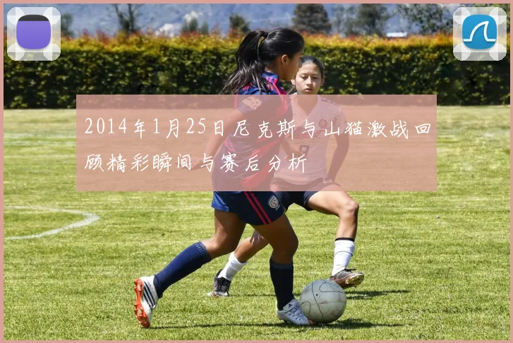 2014年1月25日尼克斯与山猫激战回顾精彩瞬间与赛后分析
