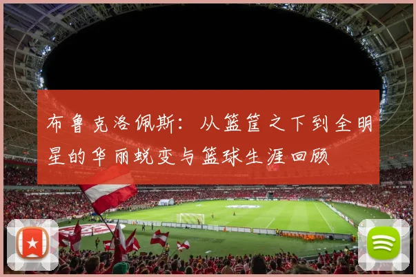 布鲁克洛佩斯：从篮筐之下到全明星的华丽蜕变与篮球生涯回顾