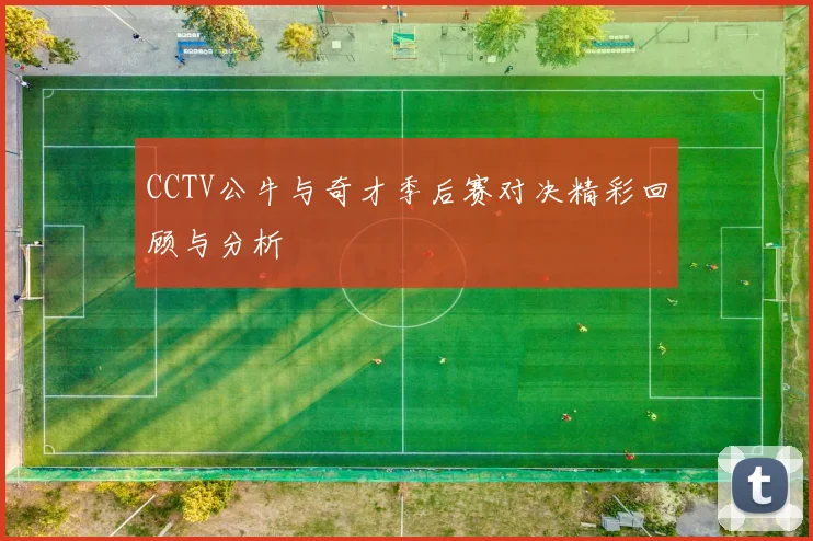 CCTV公牛与奇才季后赛对决精彩回顾与分析