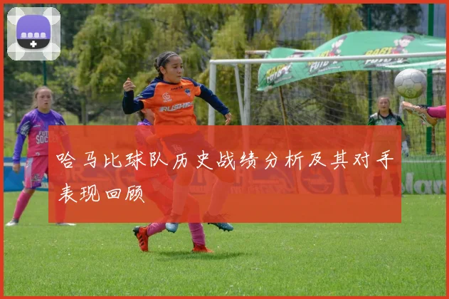 哈马比球队历史战绩分析及其对手表现回顾